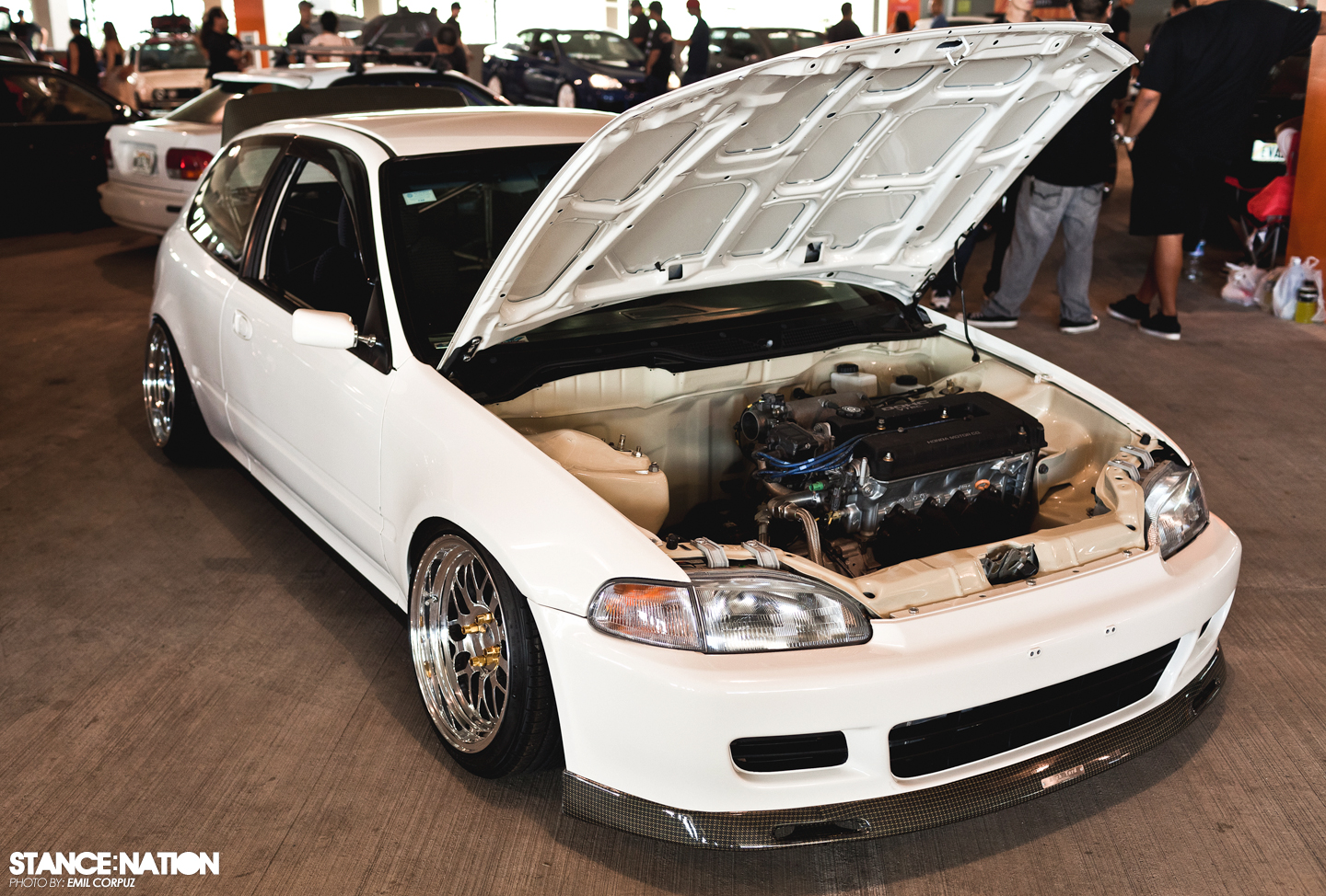 hellaflush-hawaii-61.jpg