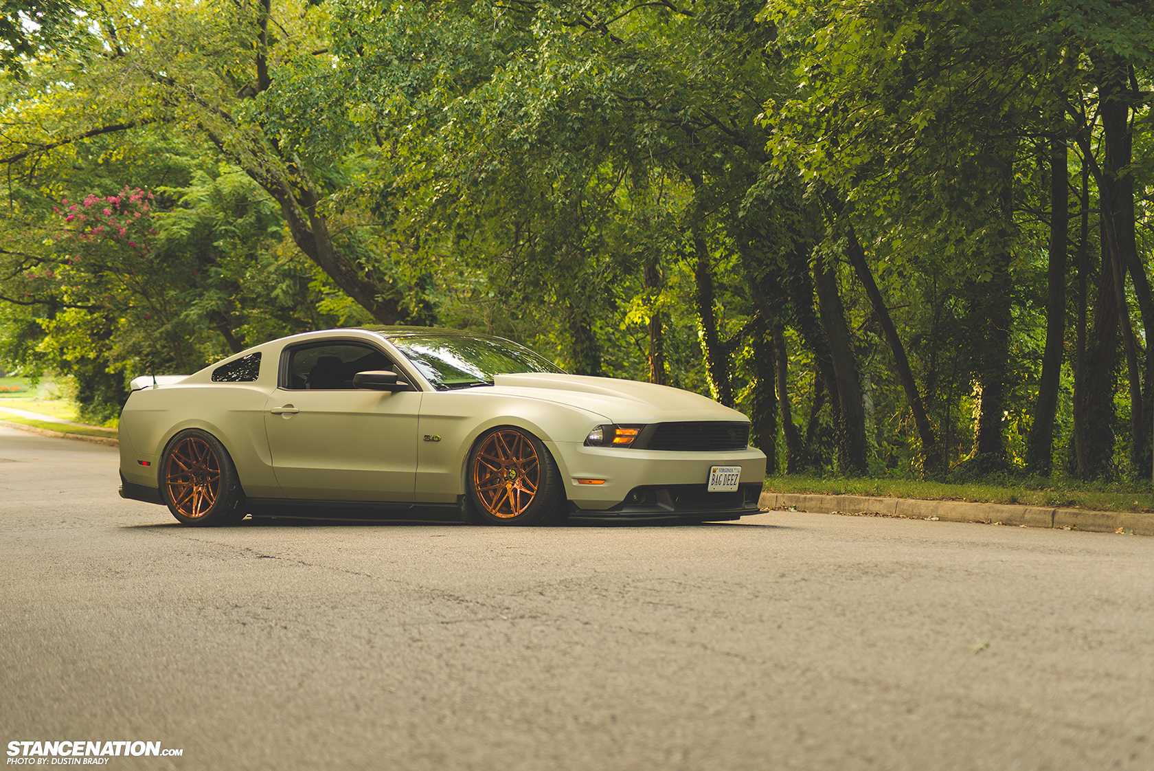 slammed-stanced-ford-mustang-gt-5.jpg