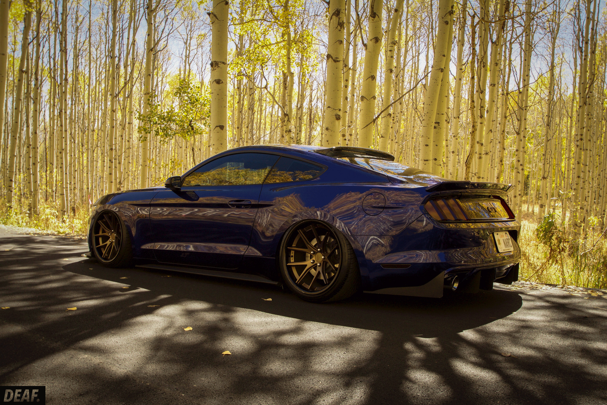 Ford Mustang sitting right. 